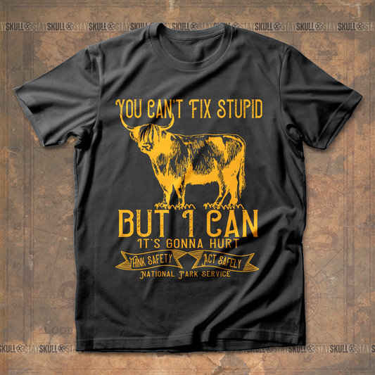 You Can't Fix Stupid But I Can, It's Gonna Hurt T shirt